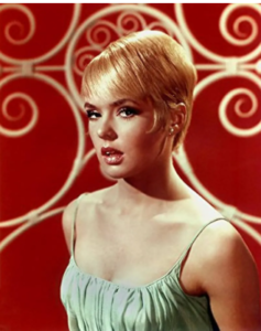 Joey Heatherton 