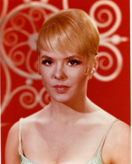 Joey Heatherton